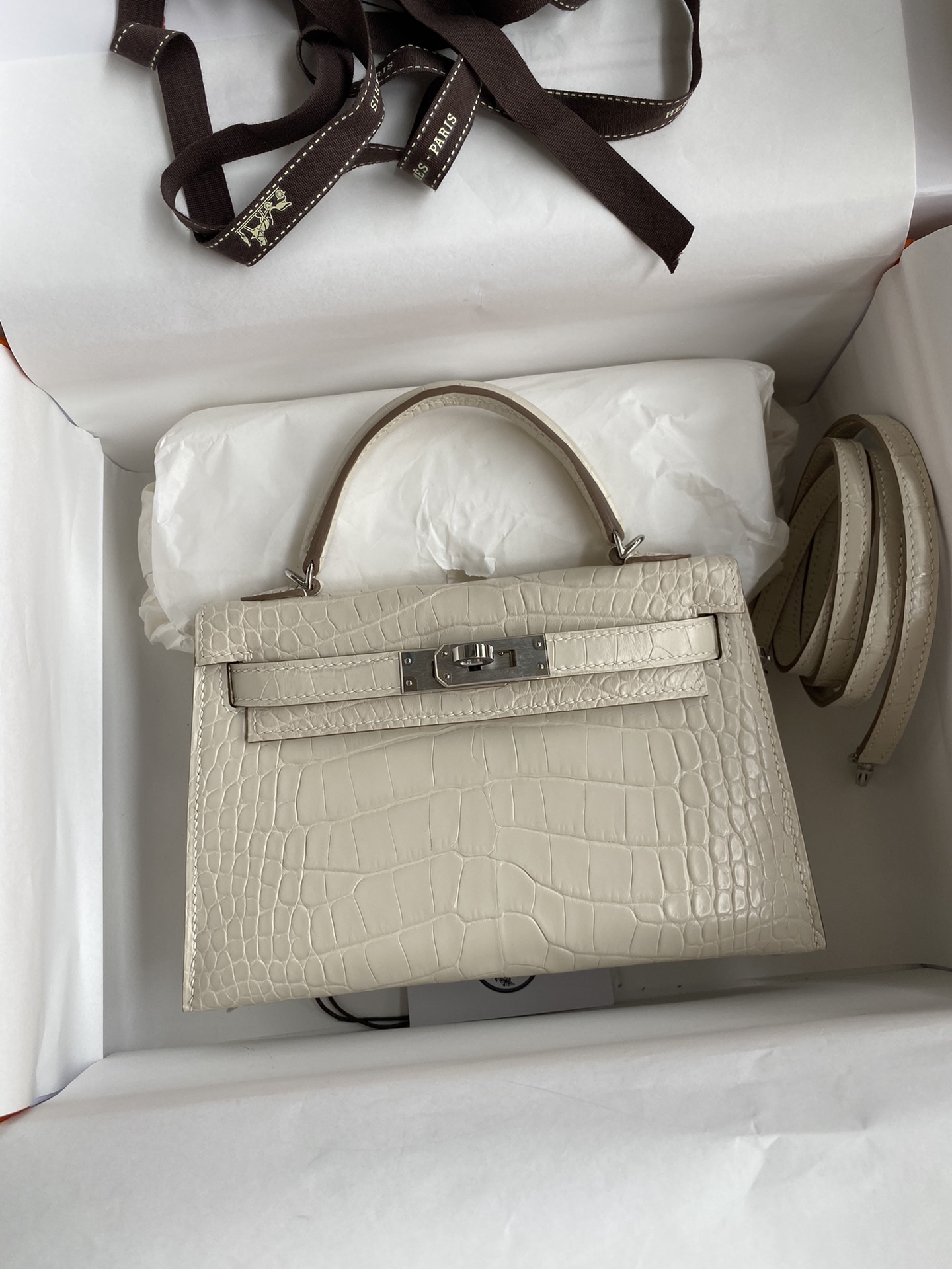 Hermes Kelly Mini II Bag 19CM In Beton Matte Alligator Leather